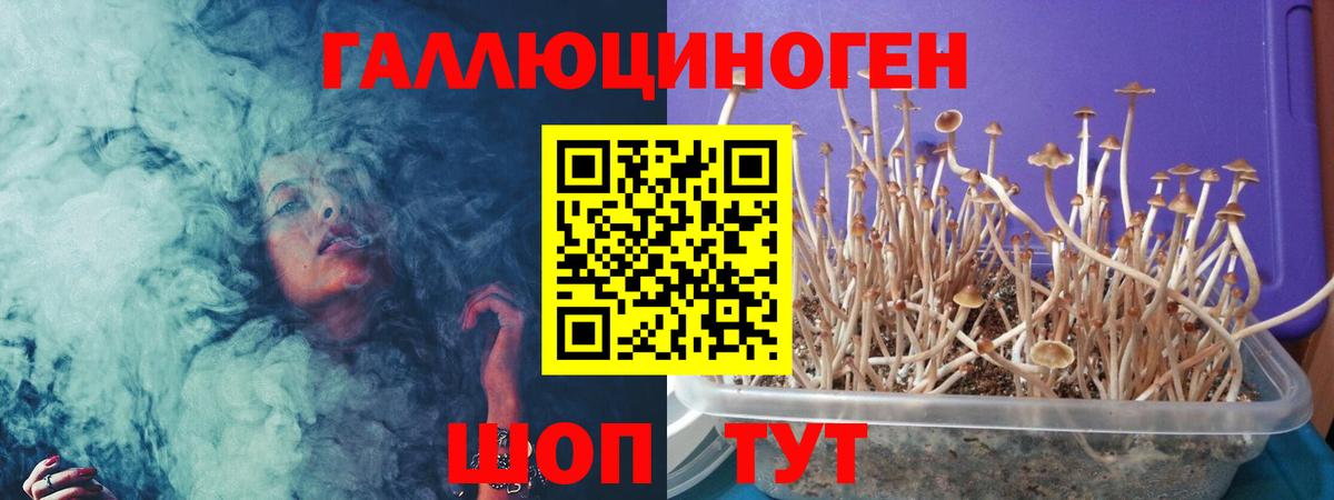 Псилоцибиновые грибы GOLDEN TEACHER Ангарск
